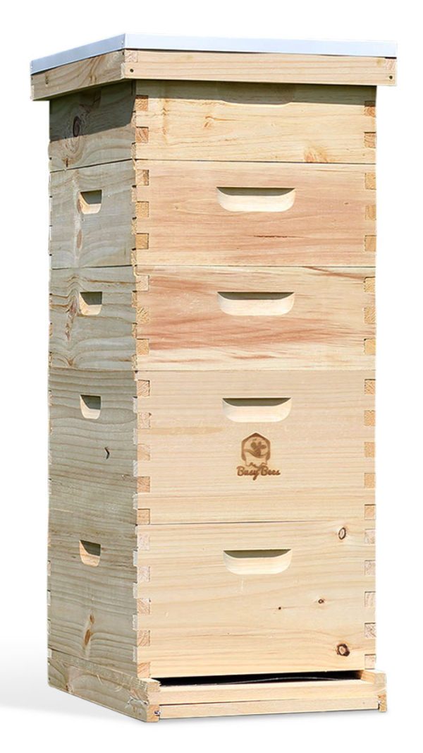 Commercial Apiary Langstroth Bee Hives For Sale | Free Shipping