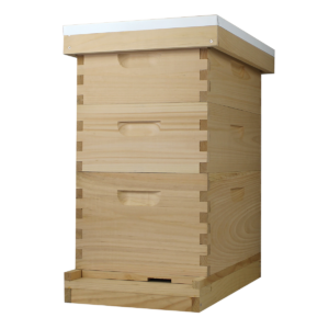Busy Bees 'N' More Amish Made 8 Frame Beehive With 1 Deep Bee Box & 2 Medium Bee Boxes