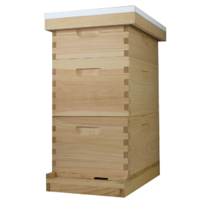 Busy Bees 'N' More Amish Made 8 Frame Beehive With 2 Deep Bee Boxes & 1 Medium Bee Box