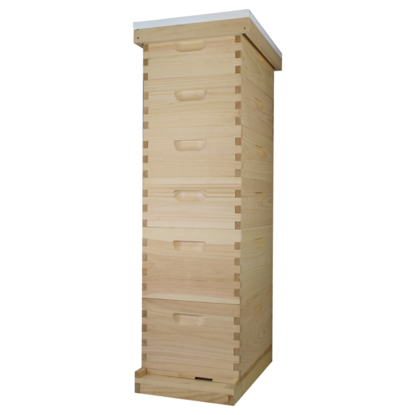 Busy Bees 'N' More Amish Made 8 Frame Beehive With 2 Deep Bee Boxes & 4 Medium Bee Boxes