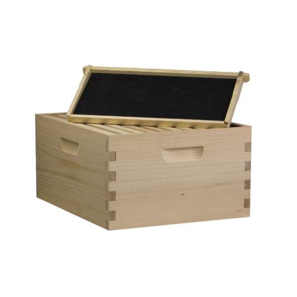 Busy Bees 'N' More Amish Made 10 Frame Deep Brood Box With Frames & Foundations