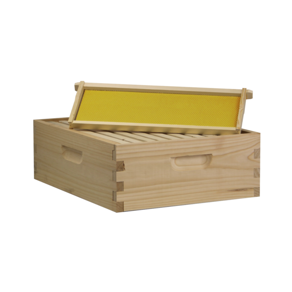 Busy Bees 'N' More Amish Made 10 Frame Medium Honey Super Box With Frames & Foundations