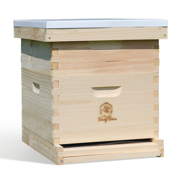 Starter Bee Hive Complete for Honey Production - Free Shipping