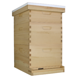 Busy Bees 'N' More Amish Made 10 Frame Beehive With 2 Deep Bee Boxes & 1 Medium Bee Box