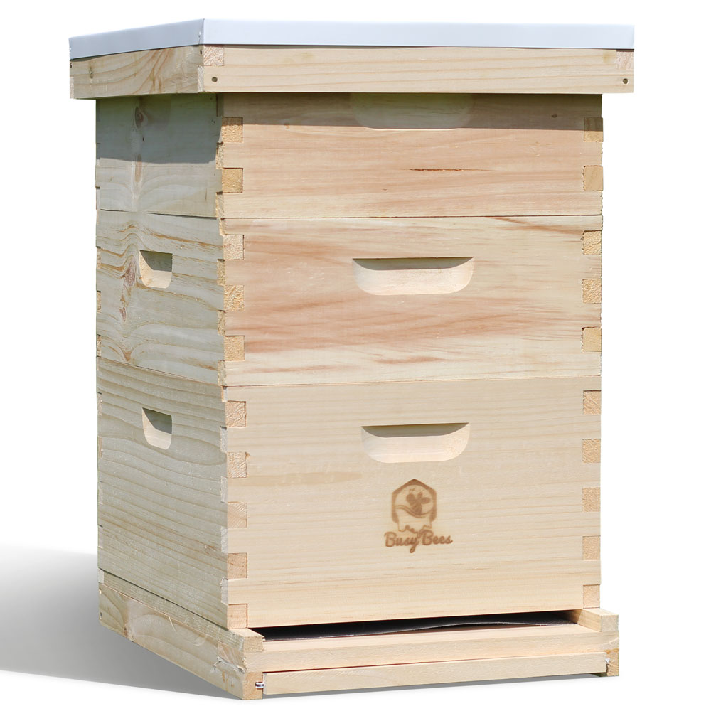 BeeHive for Sale - Perfect for Beginner Honey Production - Free Shipping!