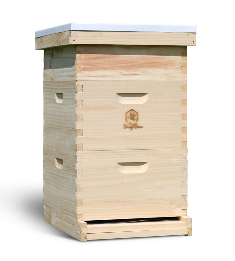 bee hive kits