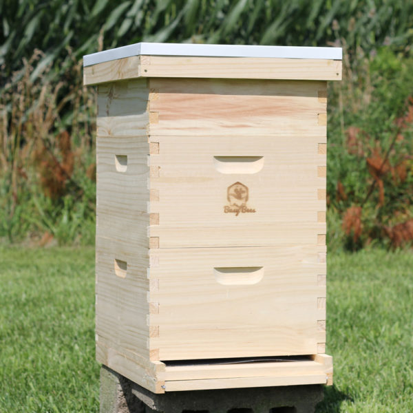 Starter Bee Hive Complete Kit for Honey Production - Free Shipping