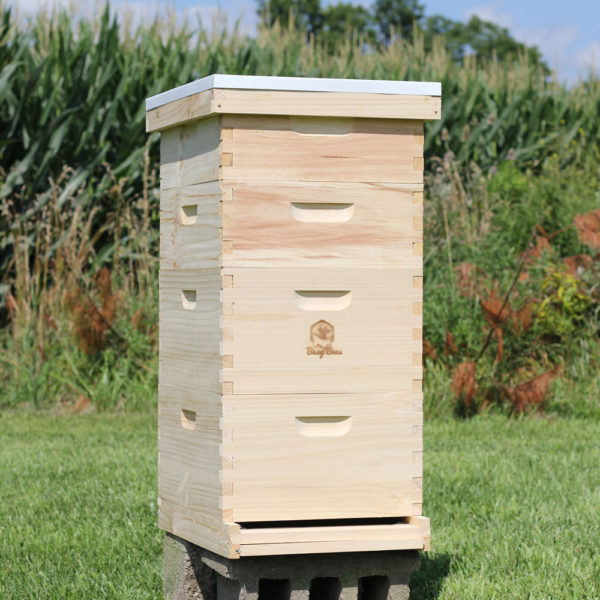 Complete Honey Production Bee Hive Kit for Beekeepers - Free Shipping