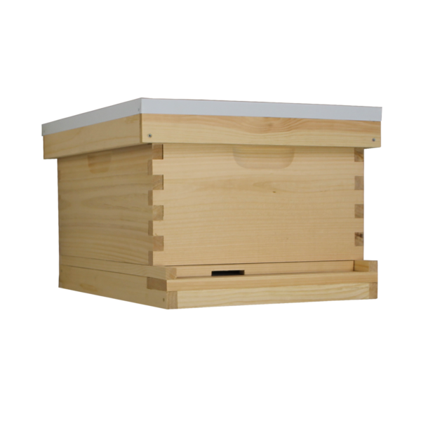 Busy Bees 'N' More Amish Made 10 Frame Beehive With 1 Deep Bee Box