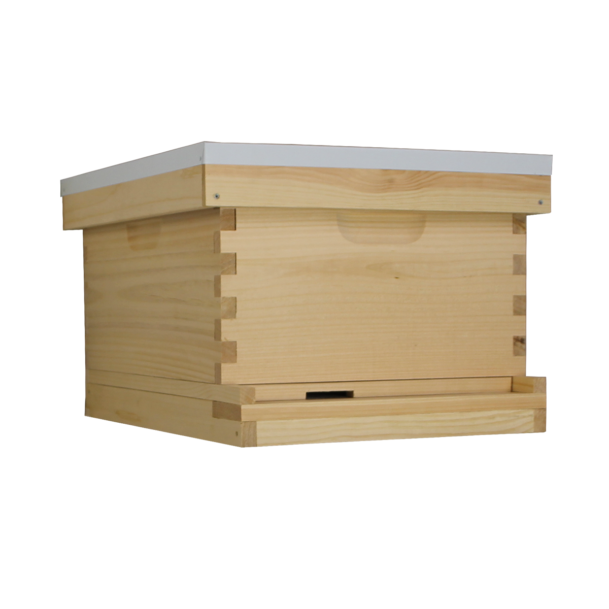 Busy Bees 'N' More Amish Made 10 Frame Beehive With 1 Deep Bee Box
