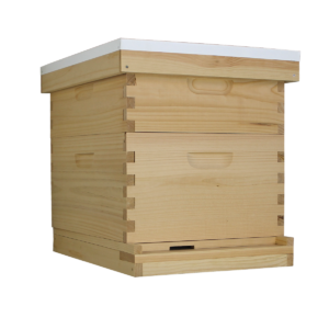 Busy Bees 'N' More Amish Made 10 Frame Beehive With 1 Deep Bee Box & 1 Medium Bee Box