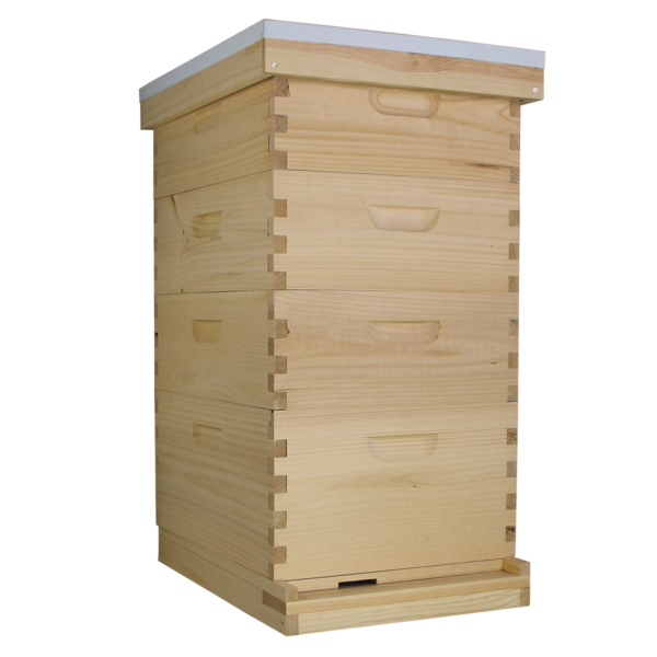 Busy Bees 'N' More Amish Made 10 Frame Beehive With 1 Deep Bee Box & 3 Medium Bee Boxes