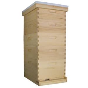 Busy Bees 'N' More Amish Made 10 Frame Beehive With 1 Deep Bee Box & 4 Medium Bee Boxes