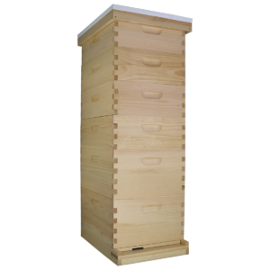 Busy Bees 'N' More Amish Made 10 Frame Beehive With 2 Deep Bee Boxes & 4 Medium Bee Boxes