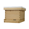 Busy Bees 'N' More Amish Made 8 Frame Beehive With 1 Deep Bee Box