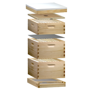 Exploded View of Busy Bees 'N' More Amish Made 10 Frame Beehive With 2 Deep Bee Boxes & 1 Mediums Bee Box
